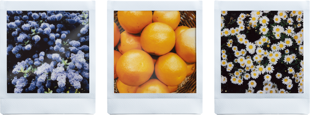 Fill the frame